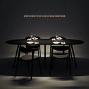 Axyaa Glass Pendant Lamp Line - Elegant Minimalist Design for Dining Room & Restaurant