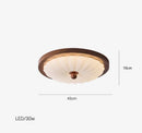 Axyaa Nordic Wood Grain Ceiling Light, Modern French Bauhaus Style