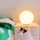 Axyaa Decorative Ball Table Lamp - Girls Ins Gift Warm Bedroom Nightlight