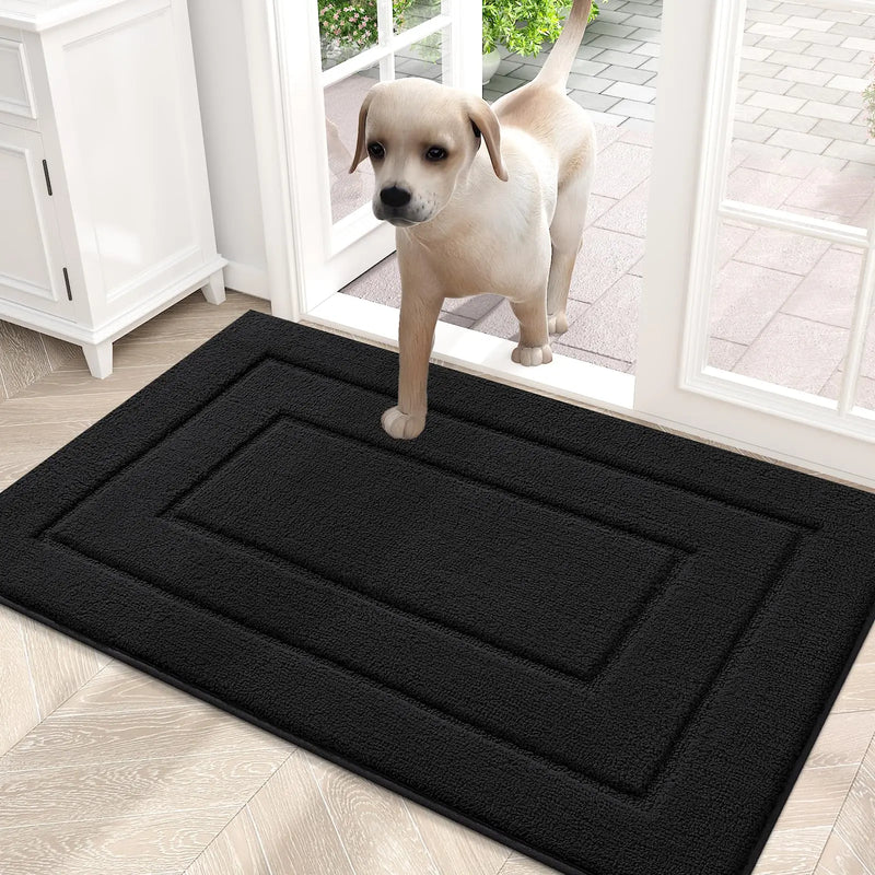 Axyaa Thicken Absorbent Indoor Entrance Door Mat Low-Profile Washable Floor Carpet
