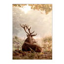 Nordic Forest Wildlife Wall Art Print by Axyaa
