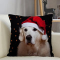 Axyaa Golden Retriever Dog Sofa Pillowcase for home decor