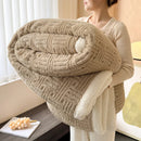 Axyaa Jacquard Lamb Fleece Blanket Set - Soft & Warm Milk Velvet, Queen Size