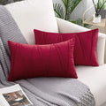 Axyaa Velvet Lumbar Throw Pillow Covers 12x20 Inch - Farmhouse Cushion Cover Cojines