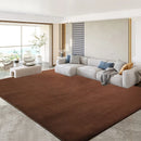 Axyaa Gray Coral Fleece Living Room Rug for Sofa, Coffee Table, Kids Bedroom