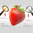 Axyaa Rechargeable Touch LED Table Lamp Dining Bar Coffee Decoratif Pro Desk Lamp