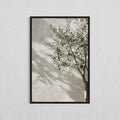 Axyaa Mediterranean Olive Tree Canvas Art Print - Botanical Antique Wall Art Poster