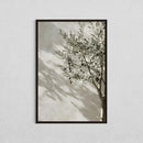 Axyaa Mediterranean Olive Tree Canvas Art Print - Botanical Antique Wall Art Poster