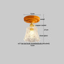 Axyaa Modern Nordic Clear Glass LED Ceiling Lamp for Home Decor