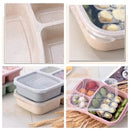 Axyaa Wheat Straw Bento Box with Compartment - Eco-Friendly & Microwave Safe