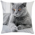 Axyaa Cute Cat Pillowcase Bubble Black  Kids Gift Decor Custom