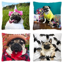 Axyaa Influencer Pug Cushion Cover - Funny Dog Home Decor Pillow Case