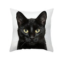Axyaa Black Cat Pillowcases: Cute Kitty Lover Cushion Cover & Home Decor