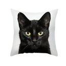 Axyaa Black Cat Pillowcases: Cute Kitty Lover Cushion Cover & Home Decor