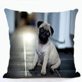 French Bulldog & Pug Dog Pillowcase by Axyaa - Decorative Animal Polyester Cushion Cover