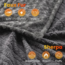 Axyaa King Size Heated Blanket, Dual Controls, Timer, 10 Levels, ETL Certified