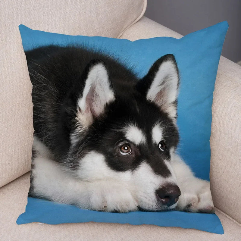 Siberian Husky Pillowcase - Axyaa Animal Cushion Cover, Decor, Cute, Dog Print