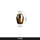 Axyaa Gold Geometric Ceramic Vase - Nordic Light Luxury Dry Flower Ornament