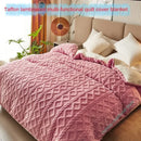 Axyaa Plush Cashmere Duvet Cover, Double-sided Fleece Comforter, Winter Warmth Blanket