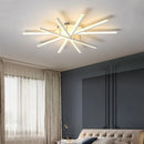 Axyaa LED Ceiling Chandelier Modern Indoor Lighting for Living Room Bedroom Hallway