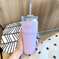 Axyaa Stainless Steel Thermos Bottle with Straw, 700ML Insulation Water Cup