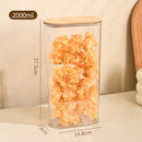 Axyaa Clear Storage Jars with Wood Lid, Airtight Food Container for Kitchen Organization