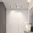 Axyaa Multihead LED Ceiling Light: Rotatable Spotlight for Various Spaces