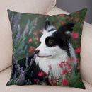 Scottish Border Collie Pillowcase - Axyaa Dog Print Decor Cushion Cover