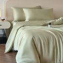 Axyaa Luxury Silk Bedding Set & Duvet Cover - Queen/Double/Single