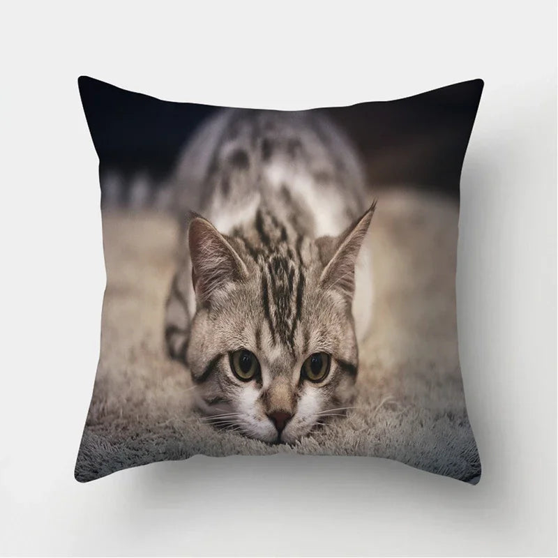 Cute Cat Print Cushion Cover for Sofa Decor by Axyaa