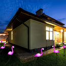 Flamingo Solar Stake Lights by Axyaa for Outdoor Garden Decor
