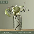 Axyaa Transparent Glass Zen Vase for Living Room Decor and Hydroponic Plants