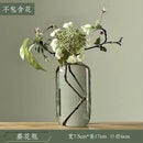 Axyaa Transparent Glass Zen Vase for Living Room Decor and Hydroponic Plants