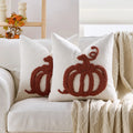 Axyaa Chenille Plush Pumpkin Embroidered Cushion Cover for Home Decor