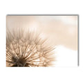 Peony Rose Dandelion Botanical Flower Canvas Art Print - Axyaa Nordic Wall Poster Art