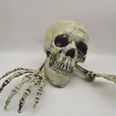 Halloween Skeleton Stakes with Crows for Axyaa Halloween Party Decor