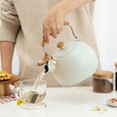 Axya Electric Kettle with Whistle, Stainless Steel, Camping Cookware