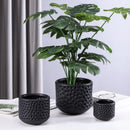Axyaa Gold Ceramic Succulent Flowerpot Vase Balcony Decor Plant Pots
