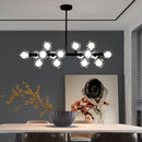 Axyaa Modern Glass Ball Chandelier LED Pendant Light for Home Decor