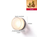 Axyaa Nordic LED Wall Light - 4 Colors, Acrylic Lampshade, Modern Design