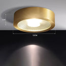 Axyaa Nordic LED Ceiling Lights Luxury Spotlights for Living Room Corridor Balconies