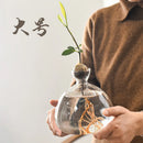 Axyaa Avocado Hydroponic Vase Seed Growing Container Pot