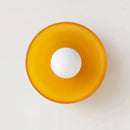 Axyaa Single Head G9 Glass Ceiling Light for Living Room, Bedroom, Hallway
