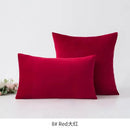 Axyaa Velvet Pillow Covers - Soft Decorative Cushion Cases for Home Decor