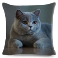 Cute Cat Print Fold Ear Pet Pillowcase for Cozy Home Decor by Axyaa