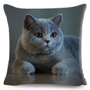 Cute Cat Print Fold Ear Pet Pillowcase for Cozy Home Decor by Axyaa