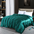 Axyaa Mulberry Silk Duvet Cover Queen Skin Beauty Comforter Cover Bed Blanket