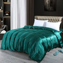 Axyaa Mulberry Silk Duvet Cover Queen Skin Beauty Comforter Cover Bed Blanket