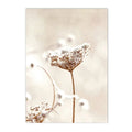 Axyaa Chrysanthemum Butterfly Canvas Print - Nordic Beach Wall Art Poster