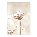 Axyaa Chrysanthemum Butterfly Canvas Print - Nordic Beach Wall Art Poster